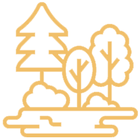 Landscaped Gardens